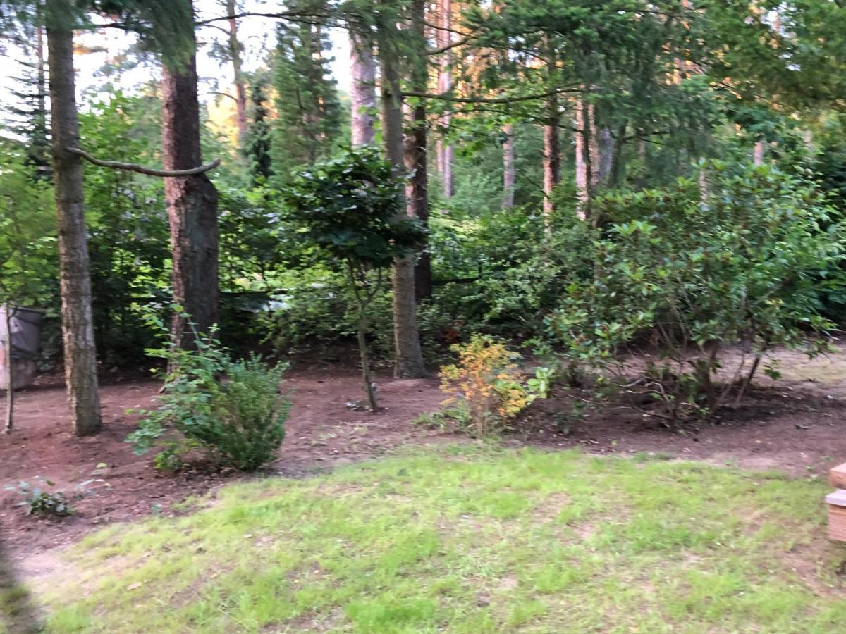 Ferienhaus Reetdach 1300Qm Privatgrundstueck Bootssteg Sauna Templin Luebbesee Uckermark Erholung Pur Seenplatte Petersdorf  エクステリア 写真