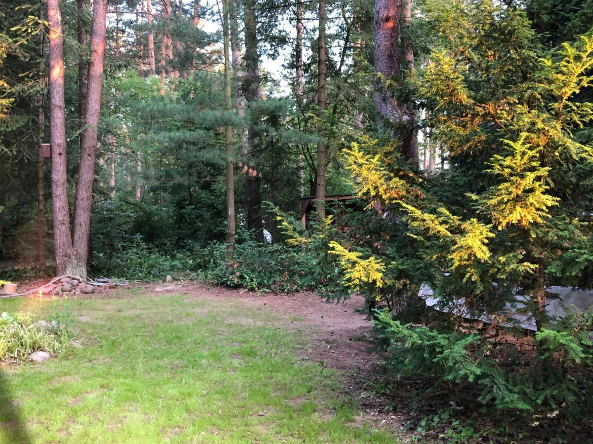 Ferienhaus Reetdach 1300Qm Privatgrundstueck Bootssteg Sauna Templin Luebbesee Uckermark Erholung Pur Seenplatte Petersdorf  エクステリア 写真